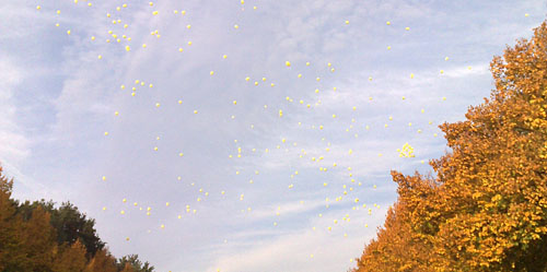 Luftballons beim Startschuss zum Berlin-Marathon