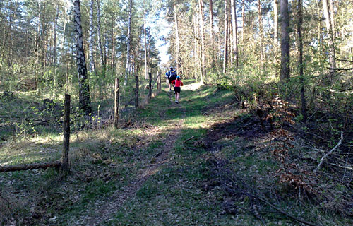 Läufer auf Steigung im Wald