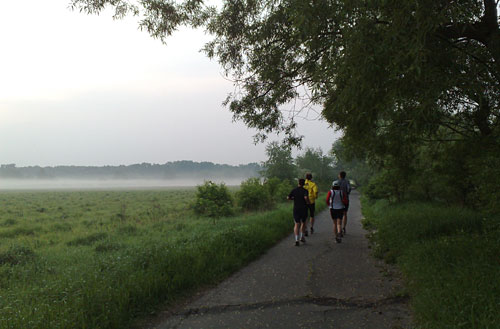 Läufer-Gruppe und Nebel über den Feldern