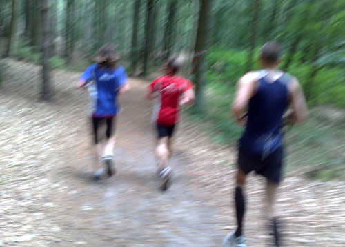 Läufer-Gruppe im Wald