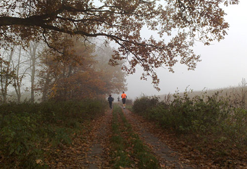 Läufer im Nebel
