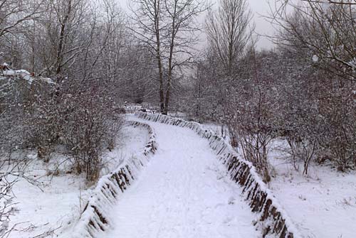 Ein verschneiter Pfad im Freizeitpark Marienfelde