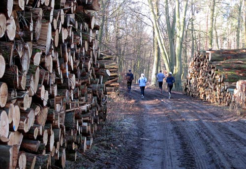 Holzstapel und Läufer im Wald