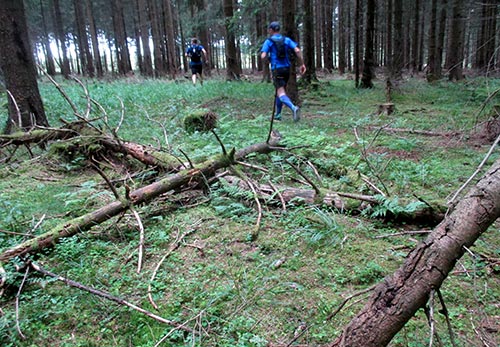 Läufer im Harz