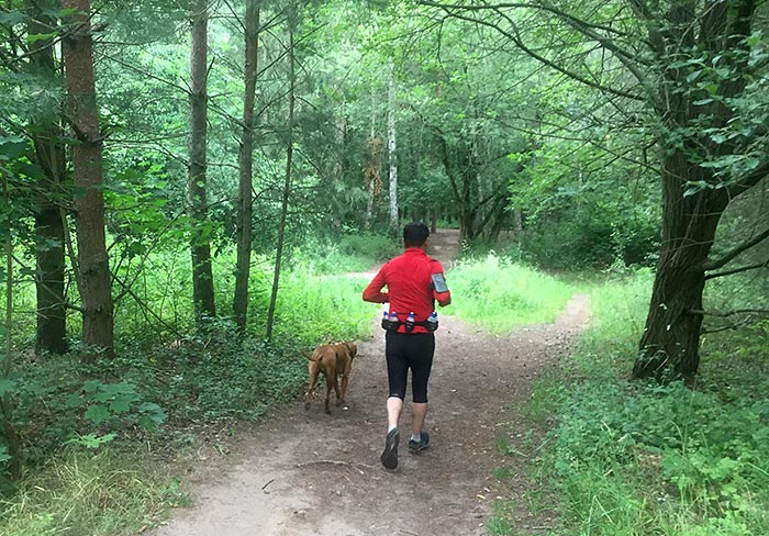 Läufer mit Hund