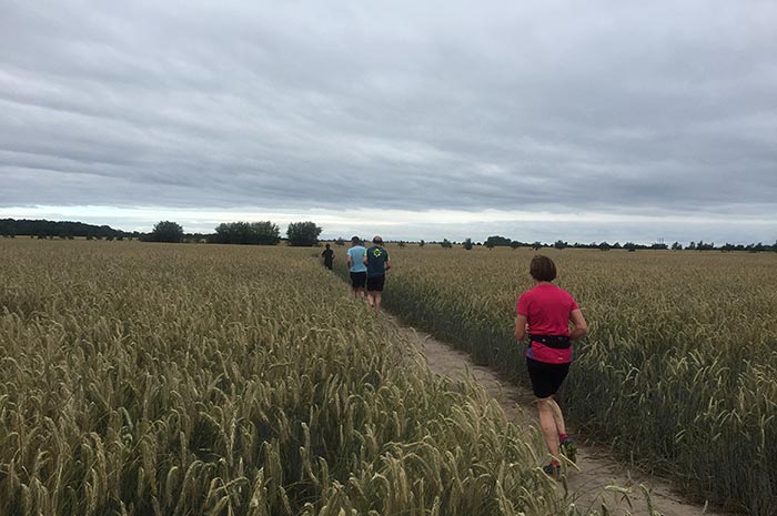 Läuferin und Läufer zwischen Getreidefeldern