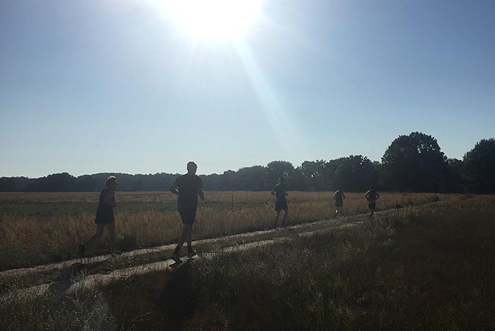 Läufer auf den Feldwegen bei Birkholz
