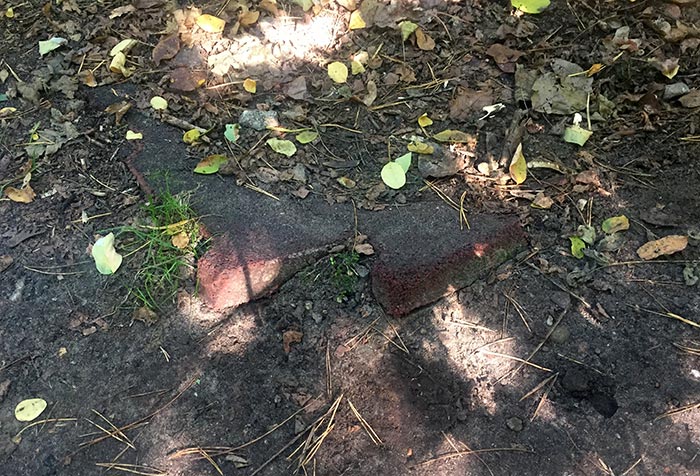 Zwei Ziegelsteine ragen etwas aus dem Waldboden heraus