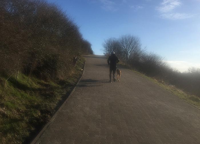 Läufer mit Hund an einer Steigung im Freizeitpark Marienfelde