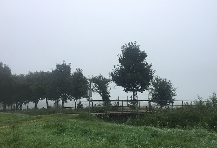 Kleine Brücke, dunkle kleine Bäume vor einem weißgrauen Nebelhimmel