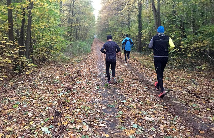Drei Läufer laufen auf dem mit feuchtem Herbstlaub bedeckten Mauerweg