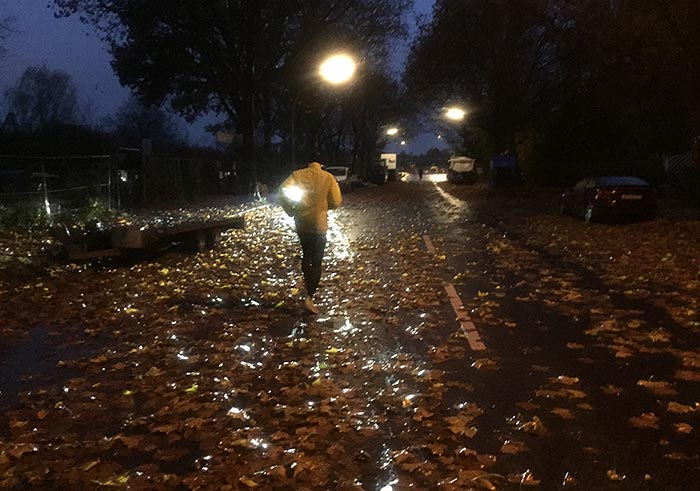Läufer auf einer mit nassem Laub bedeckten Straße in der Morgendämmerung, im Licht von Straßenlaternen