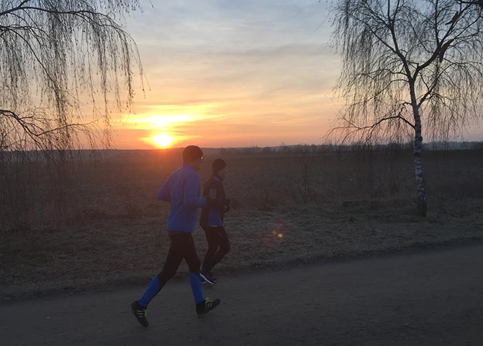 Läufer vor aufgehender Sonne und dünnen Birken