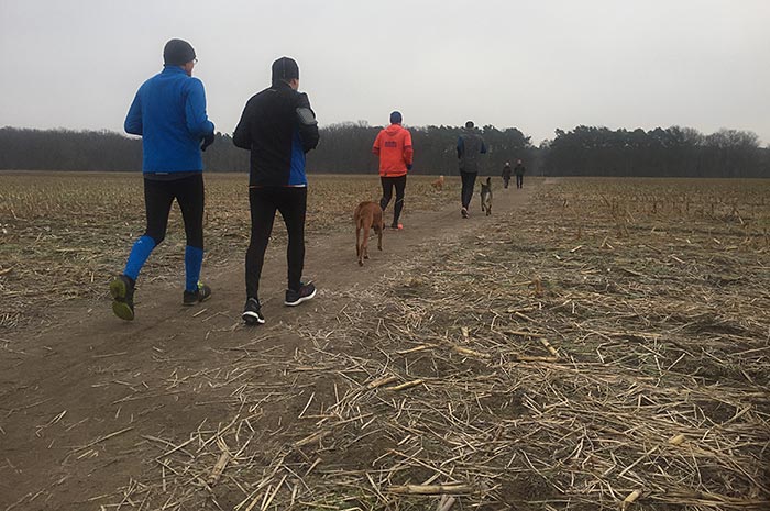 Läufer, Hunde und Spaziergänger auf einem Feldweg