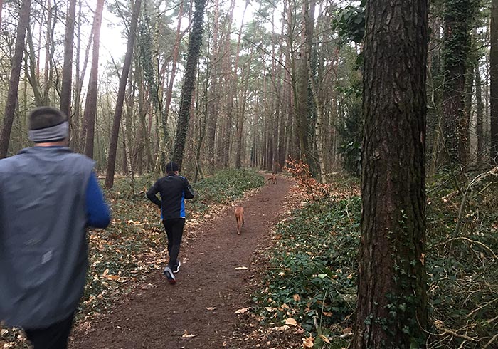 Läufer und Hund auf einem Waldweg