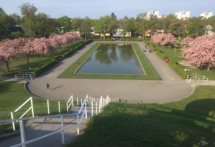 Blick vom Lilienthal-Denkmal auf das Wasserbecken und die Reihen von blühenden Kirschbäumen