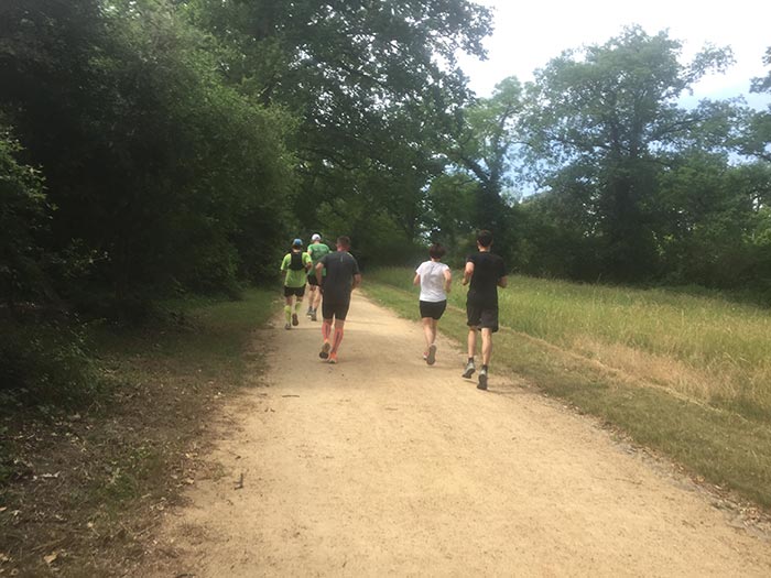 Läuferinnen und Läufer auf einem sandigen Parkweg umgeben von grünen Büschen und Bäumen