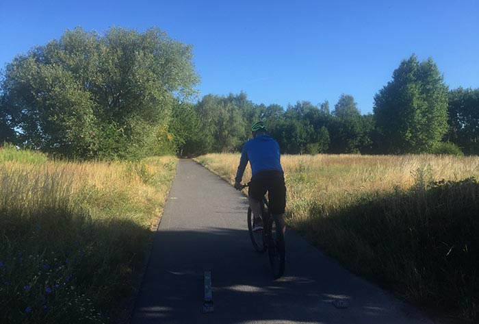 Fahrradfahrer auf Asphalltweg zwischen gelbgrünen Wiesen und Sträuchern