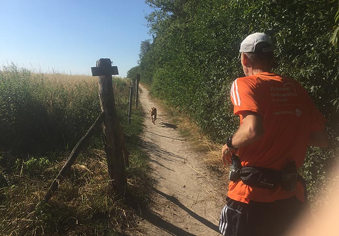 Läufer und Hund auf schmalem Feldweg