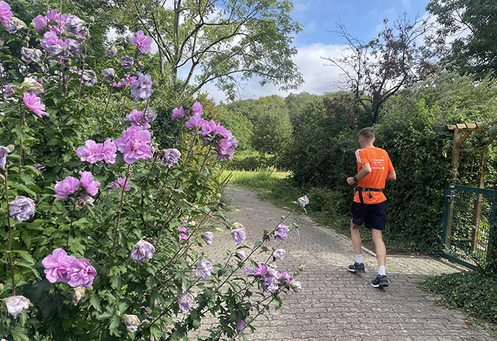 Läufer läuft in Kleingartengebiet an einem lila blühenden Strauch vorbei