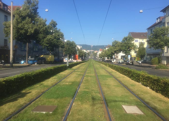 Mit Rasen begrünte S-Bahn-Trasse mit Blick auf den Herkules in der Ferne