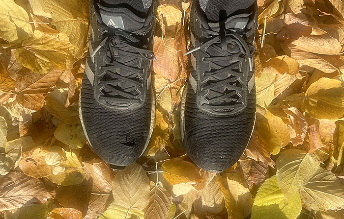 Alte schwarze Laufschuhe auf goldenem Herbstlaub