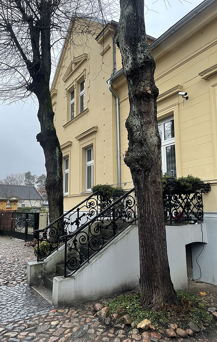 Historisches, restauriertes Haus mit schmiedeeisernem, kunstvollem Geländer an der Eingangstreppe, die von zwei großen Bäumen gesäumt wird