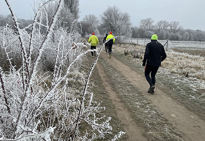 Läufer in Winterlandschaft, im Vordergrund Zweige mit Raureif