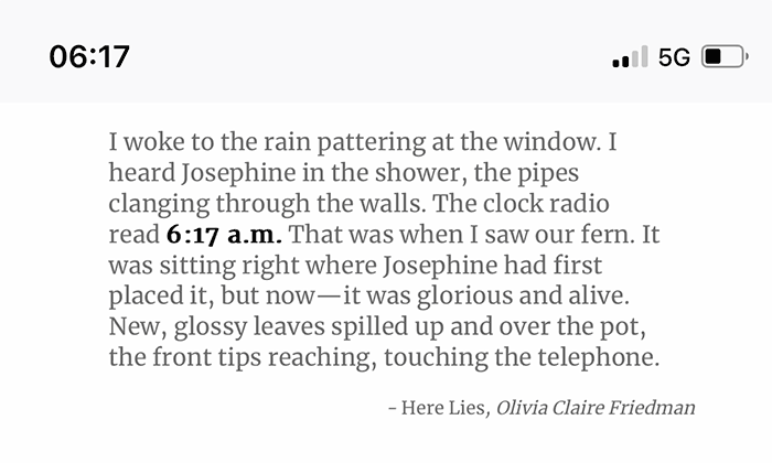 Literatur-Zitat für „6:17“ von Olivia Claire Friedman