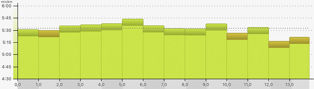 Pacegrafik des Drittelmarathons: Anfangs um die 5:30 min/km, dann kurzzeitig etwas langsamer, zum Ende aber auch für 3 km deutlich darunter