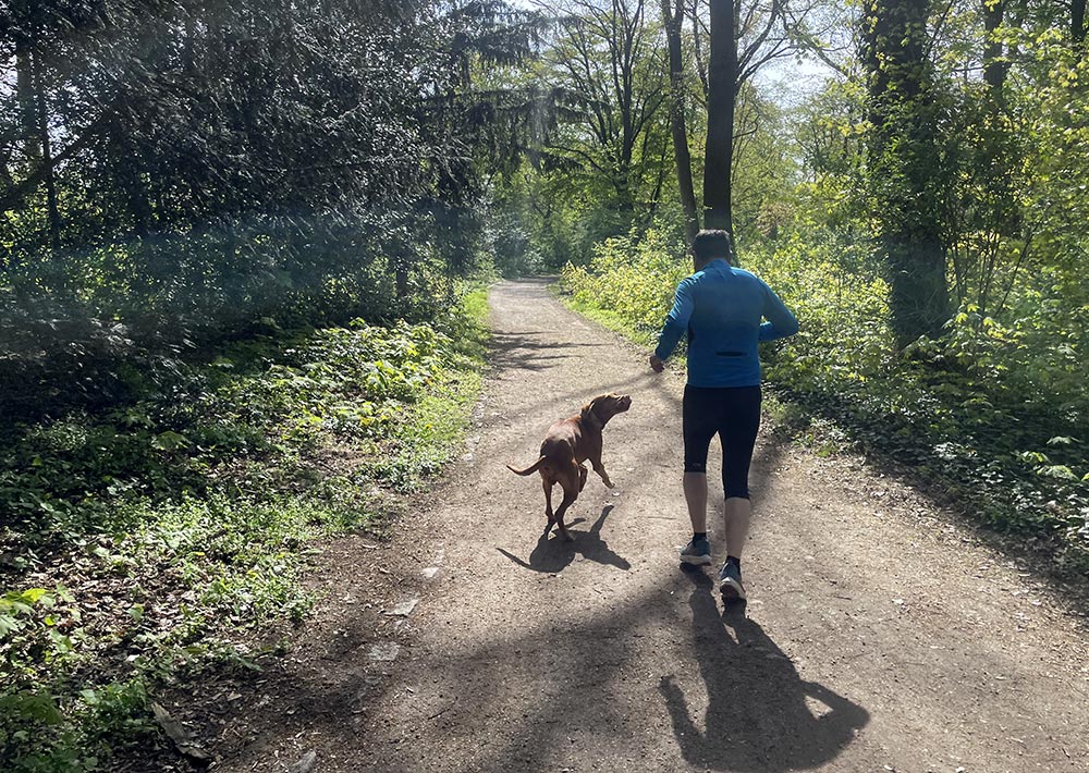 Läufer mit Hund auf einem Parkweg