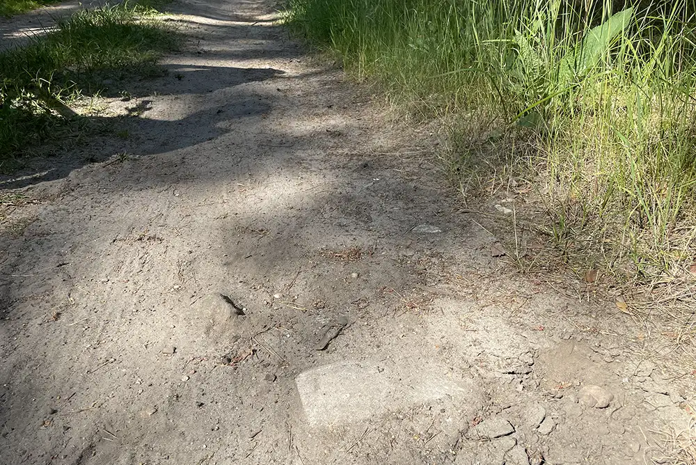 Waldweg-Fußboden mit hervorstehendem Stein, der kaum zu sehen ist
