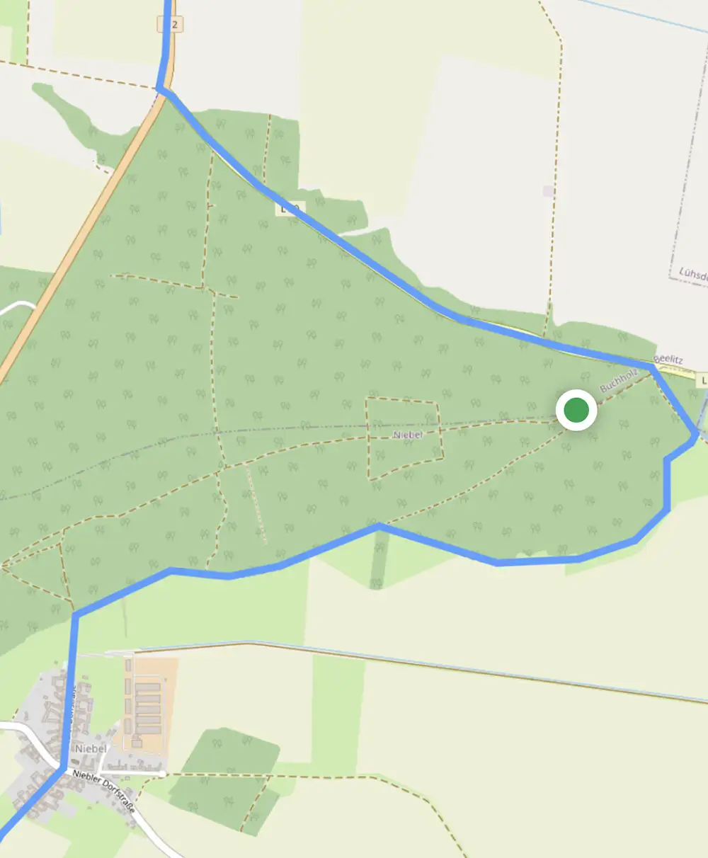 Kartenausschnitt mit GPS-Standort, der neben der blauen Routen-Linie ist