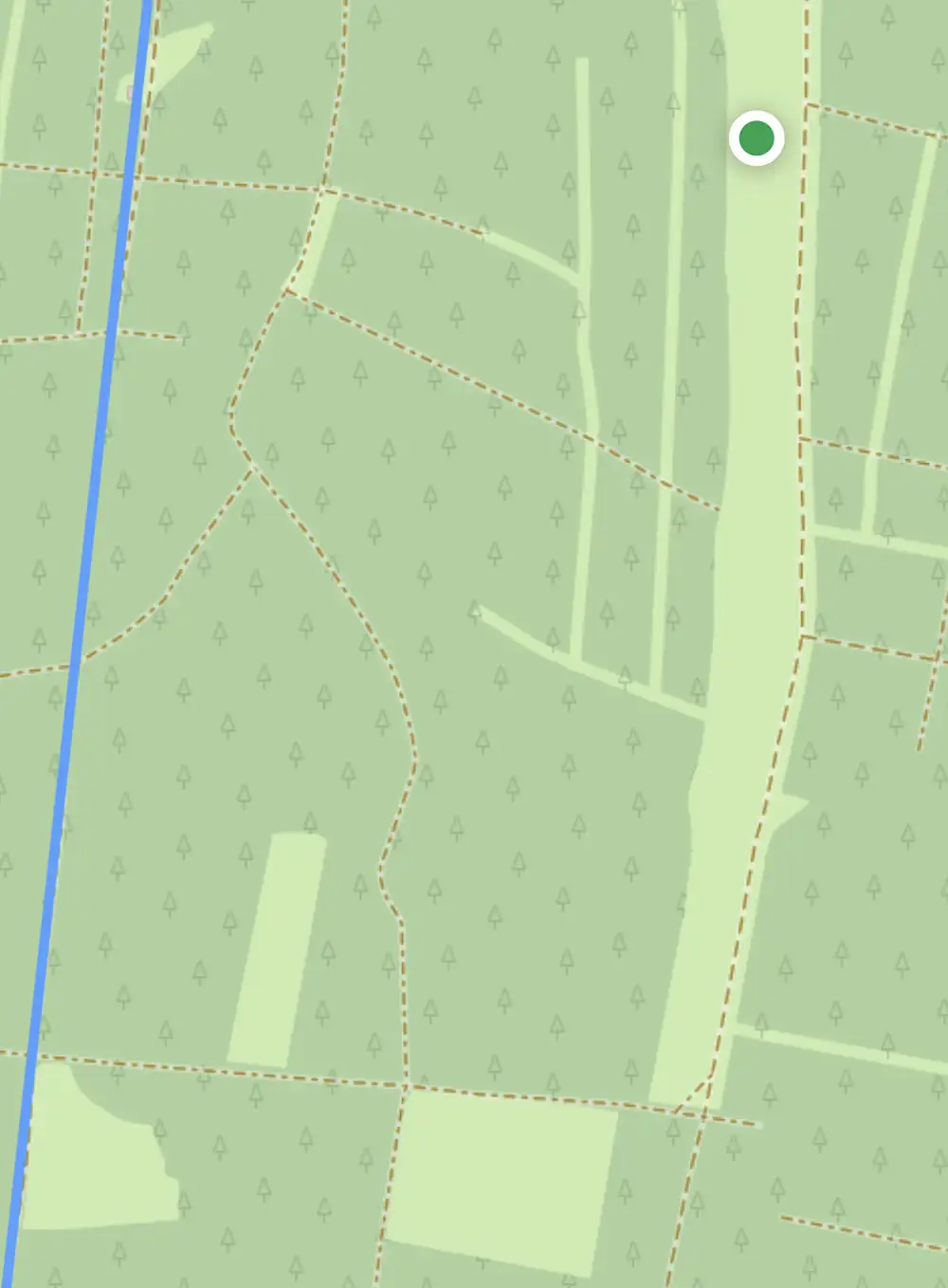 Digitaler Kartenausschnitt mit Standort-Punkt weit neben dem blauen Track