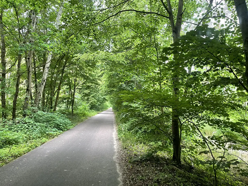 Asphaltweg mit Büschen und Bäumen