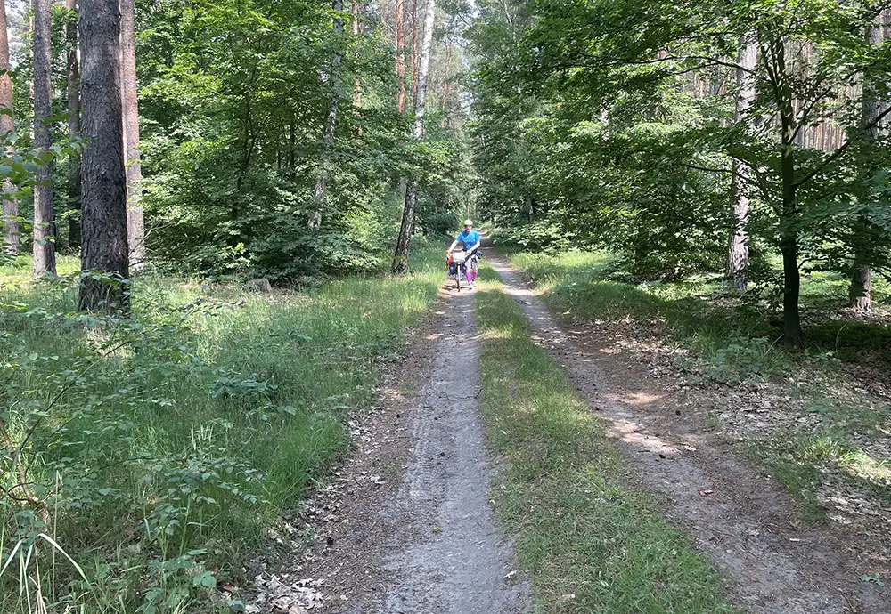 Begleiter schiebt sein Fahrrad eine Steigung im Wald hinauf