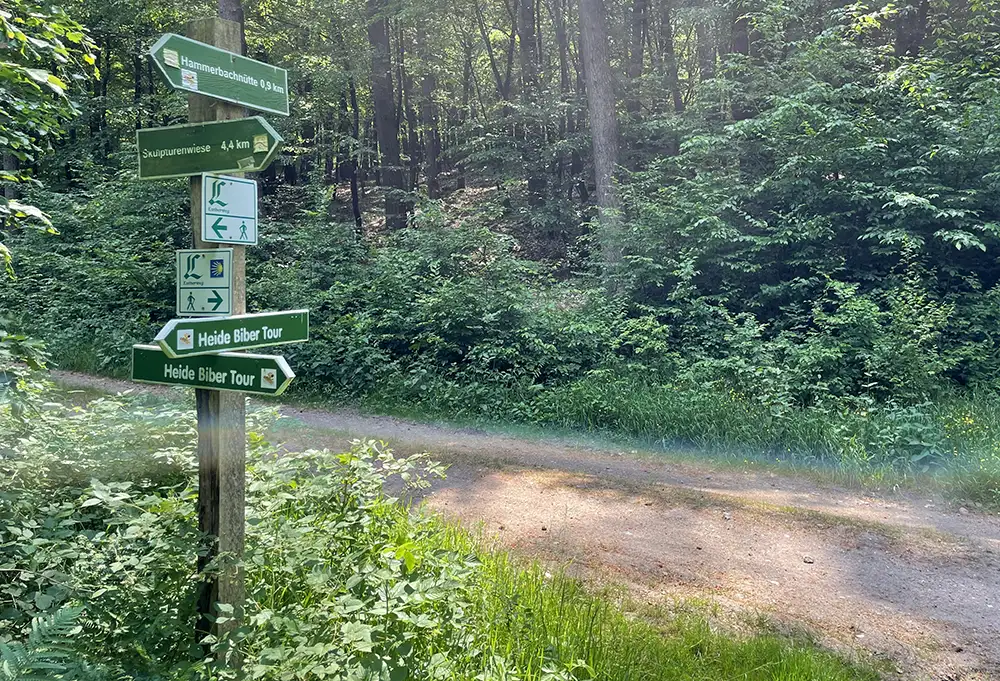 Quer verlaufender Weg, links ein Schilder-Pfahl mit Hinweis auf die Heide Biber Tour
