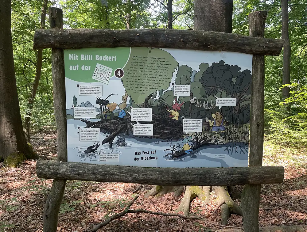 Von Hölzern eingerahmte Info-Tafel „Mit Billi Bockert auf der Heide Biber Tour“ mit einer comic-haften Illustration und Erläuterungen