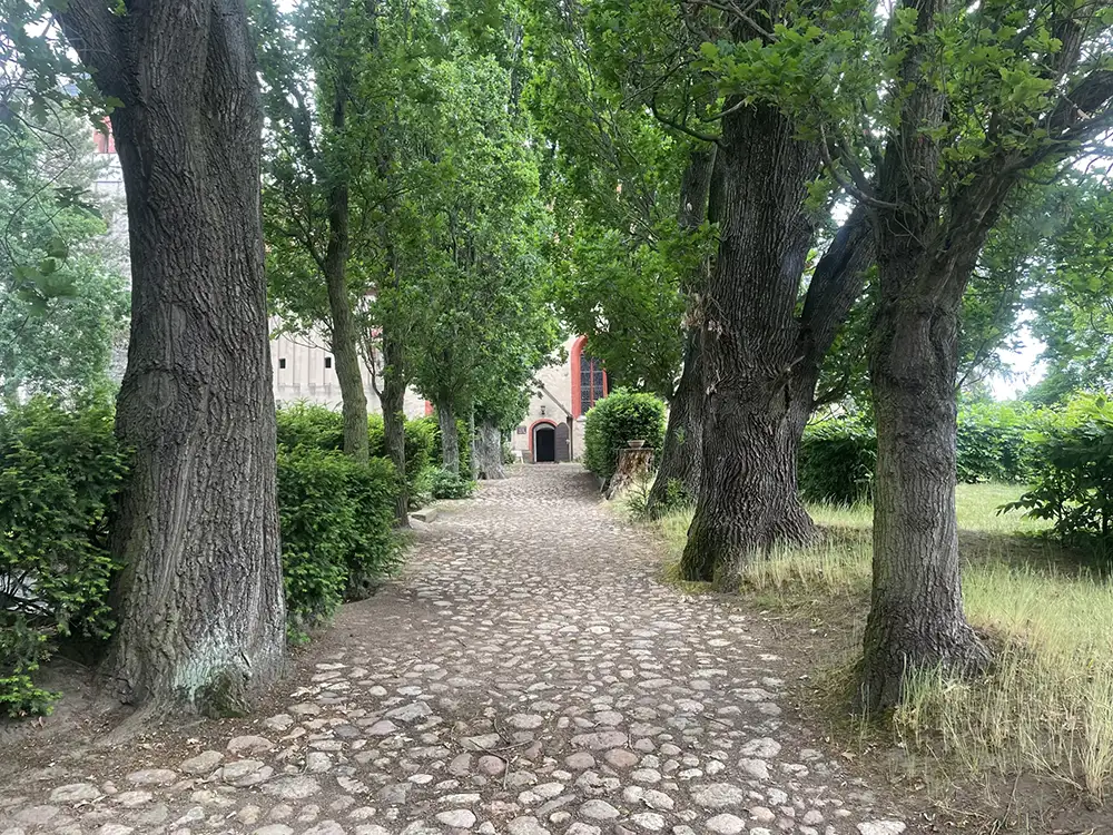 Eichen-umstandener Kopfsteinpflasterweg zum Eingang der Kirche St. Laurentius