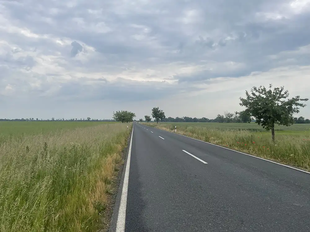 Landstraße zwischen Feldern bis zum Horizont