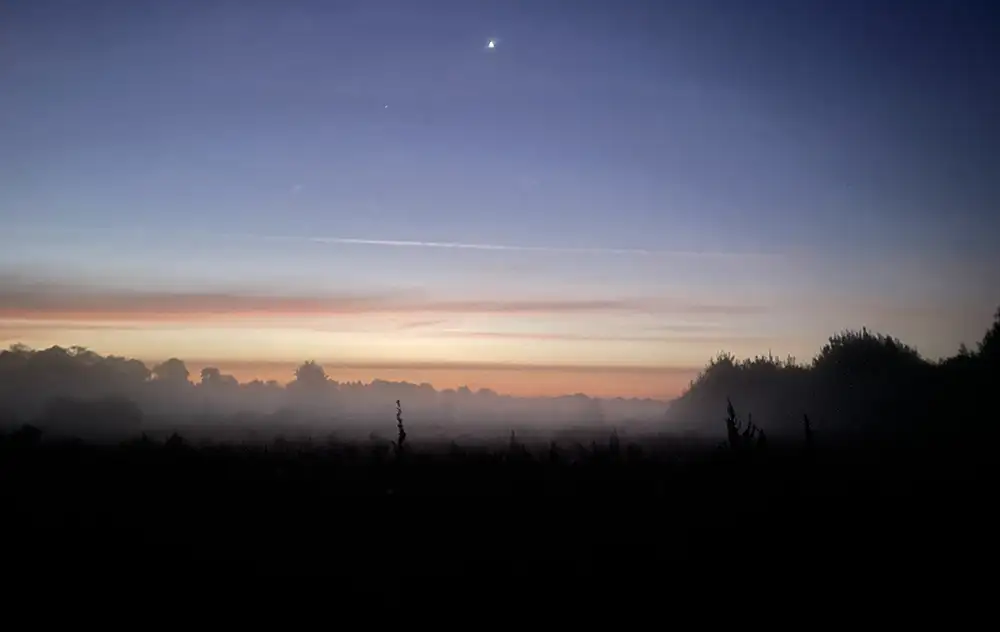 Morgendämmerung mit Nebel über den Feldern, die Bäume und Sträucher liegen im Dunkel