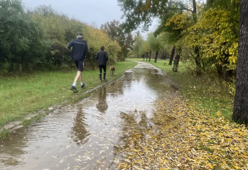 Zwei Läufer mit Hund laufen durch den Regen in einem Park mit großer Pfütze auf dem Parkweg