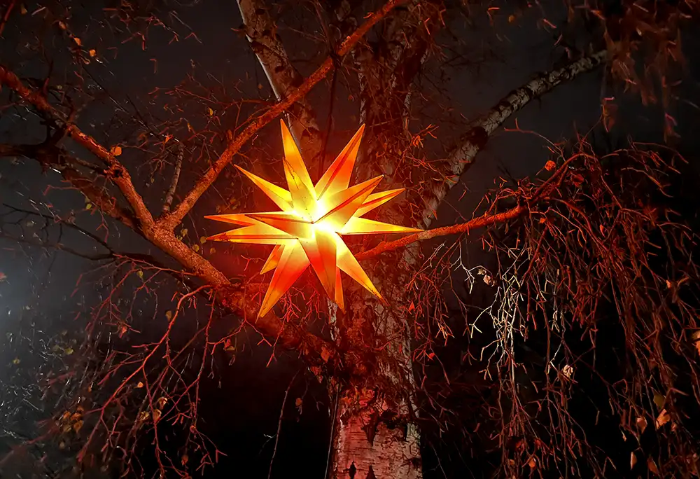 Orangerot leuchtender Hutschenreuther Stern, der im Dunklen an einer Birke hängt