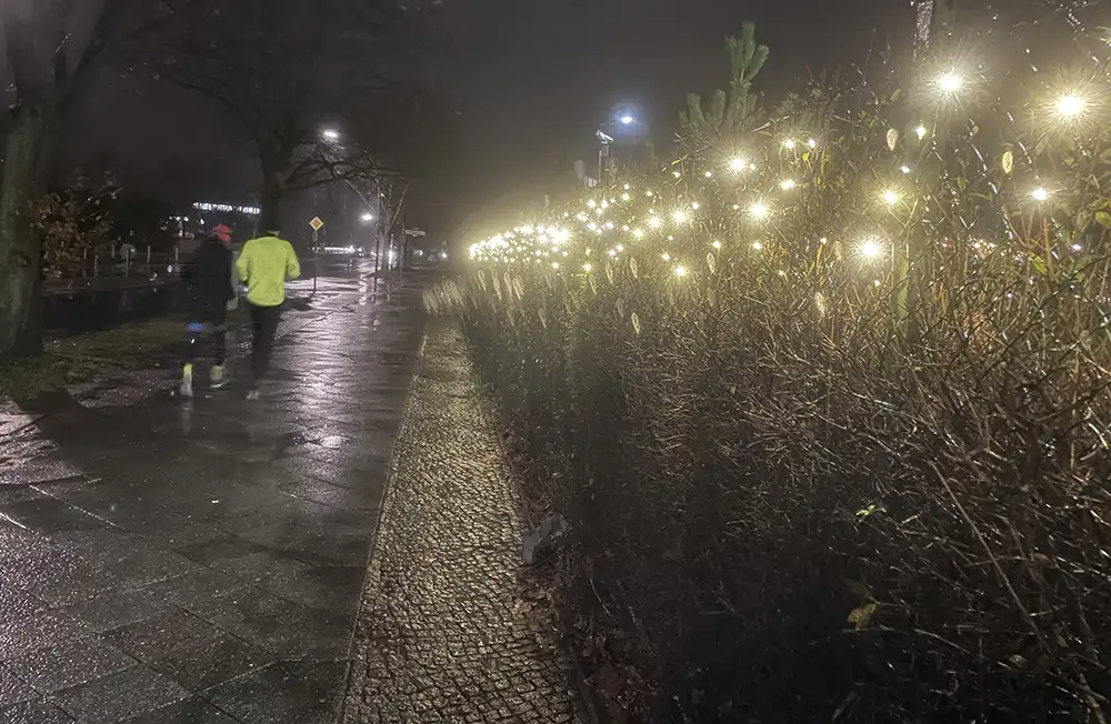 Zwei Läufer auf einem regennassen Fußweg, daneben eine Hecke mit einer hell leuchtenden Lichterkette