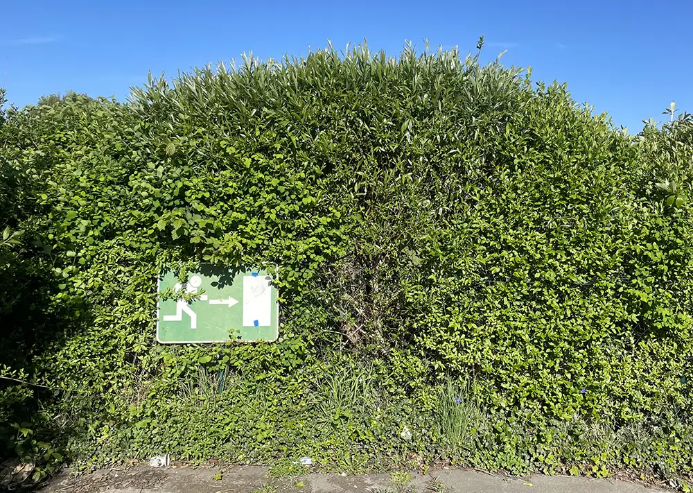 Grüne Hecke, darin leicht übergewachsen ein Schild mit Piktogramm eines laufenden Männchens Richtung Tür