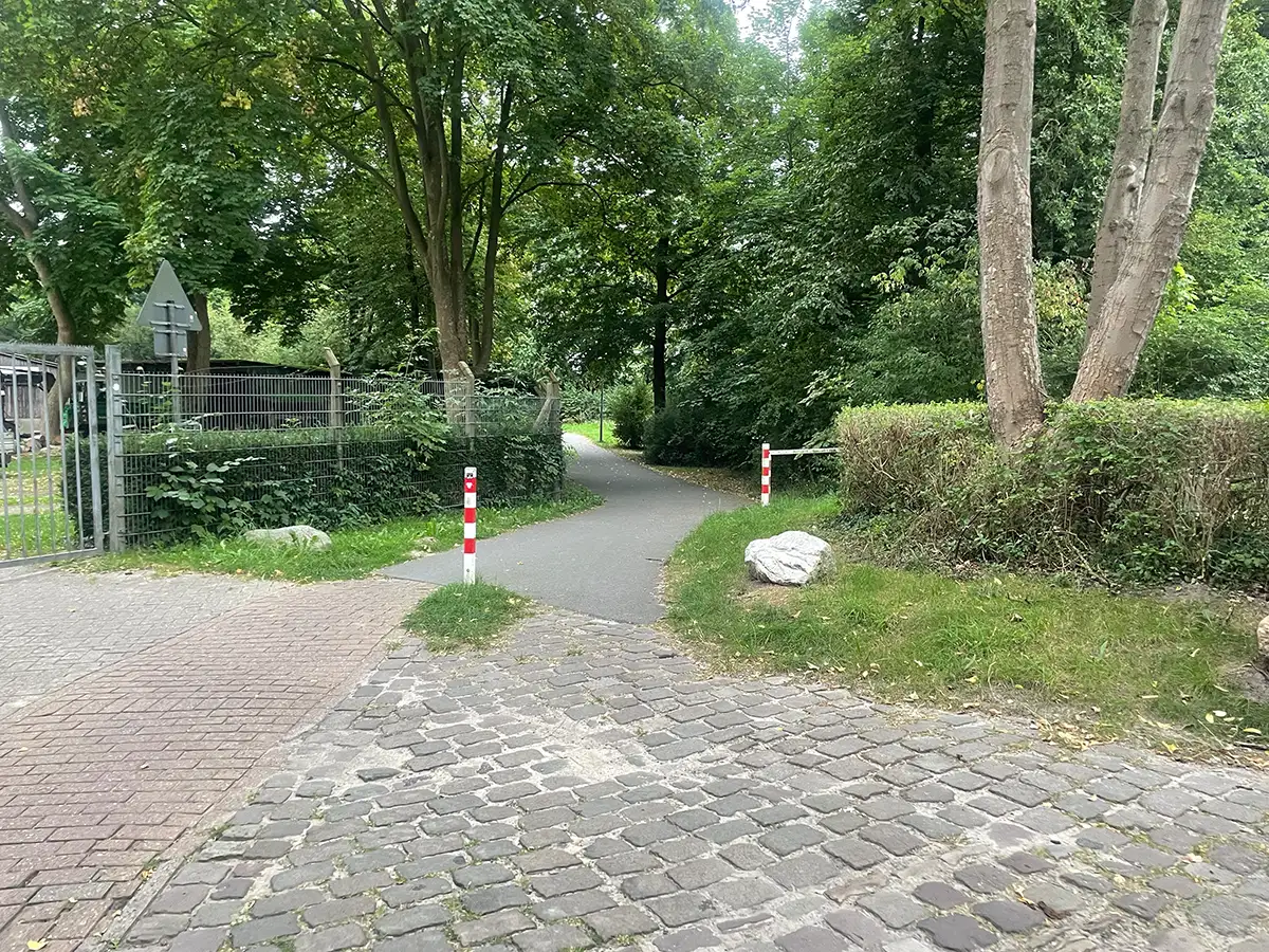 Asphaltierter Radweg durch einen Park