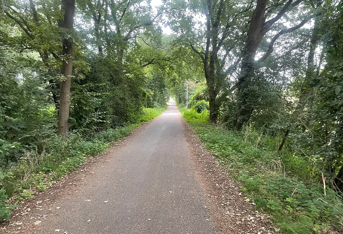 Kleiner Asphaltweg im Grünen