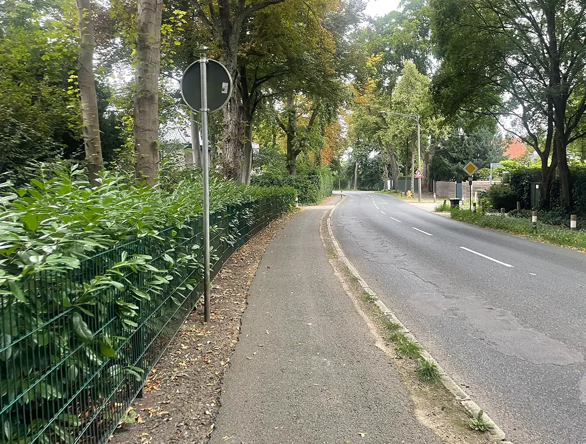 Schmale leere Straße mit Zäunen und hohen grünen Hecken