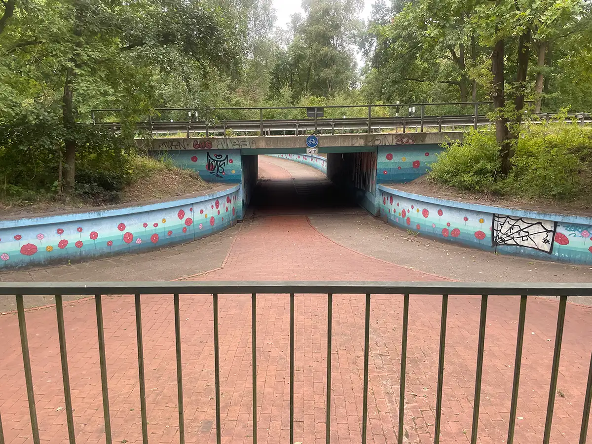 Unterführung unter eine Bahnlinie, die dahinführenden Mauern sind blau angemalt mit roten Blumen