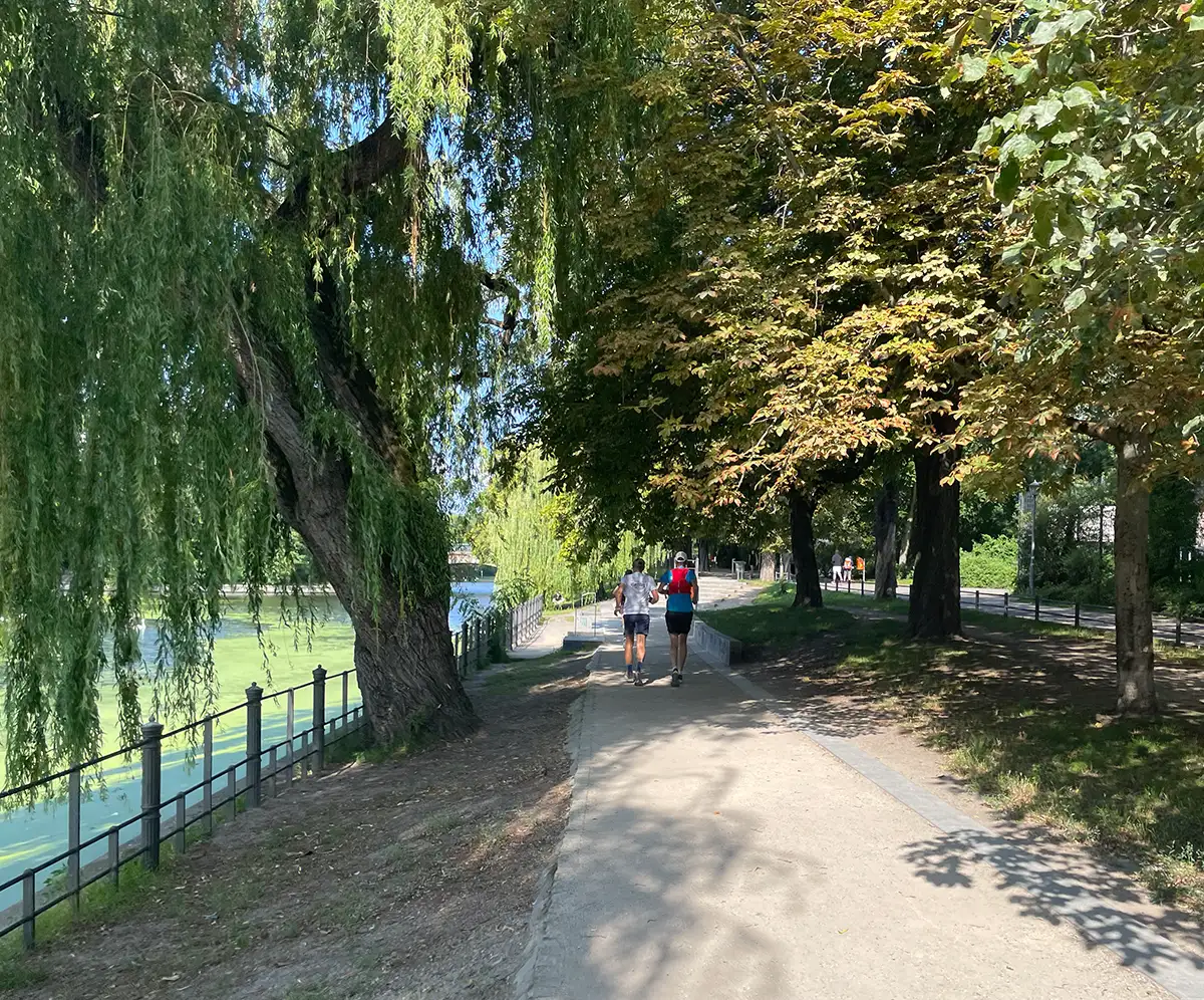 Zwei Läufer unter hohen Bäumen auf der Uferpromenade